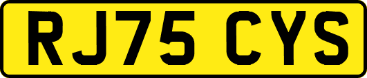 RJ75CYS