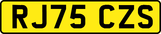 RJ75CZS