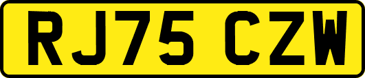 RJ75CZW