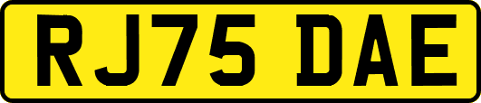 RJ75DAE