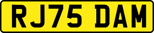 RJ75DAM