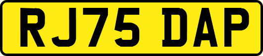 RJ75DAP
