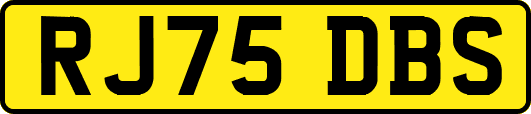 RJ75DBS