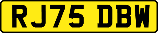 RJ75DBW