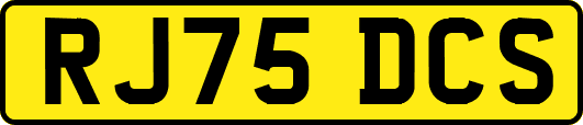 RJ75DCS