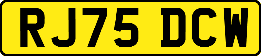 RJ75DCW
