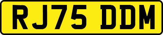 RJ75DDM