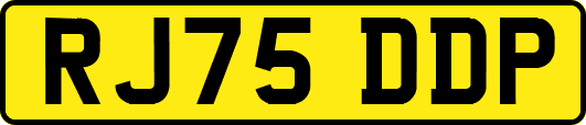 RJ75DDP