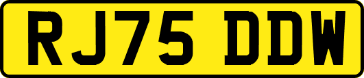 RJ75DDW