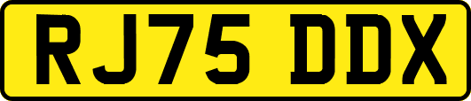 RJ75DDX
