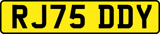 RJ75DDY