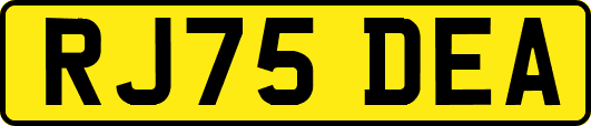 RJ75DEA
