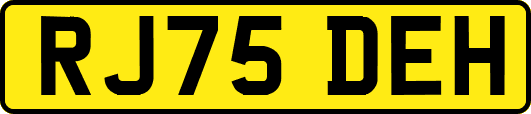 RJ75DEH