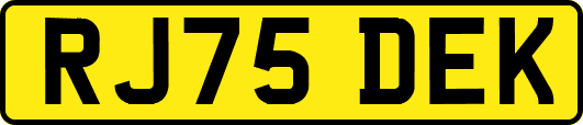 RJ75DEK