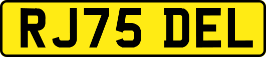 RJ75DEL
