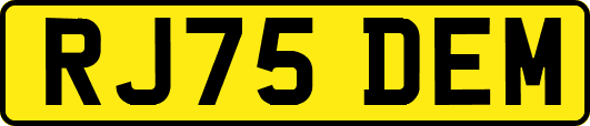 RJ75DEM