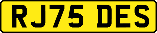 RJ75DES