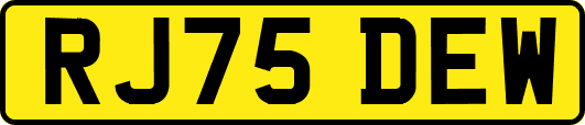 RJ75DEW