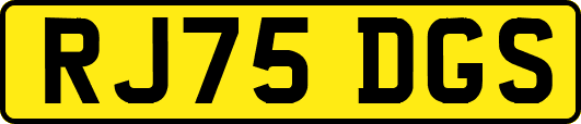 RJ75DGS