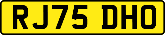 RJ75DHO