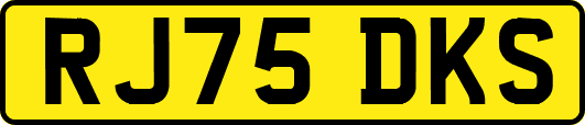 RJ75DKS