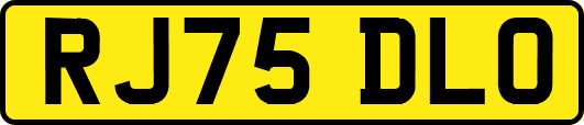 RJ75DLO