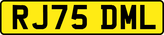 RJ75DML