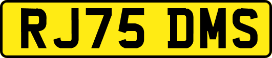 RJ75DMS