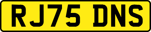 RJ75DNS