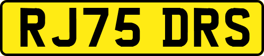 RJ75DRS