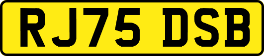 RJ75DSB