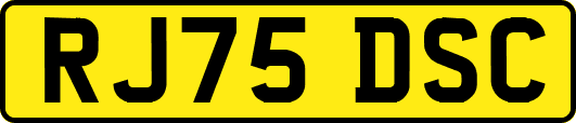 RJ75DSC