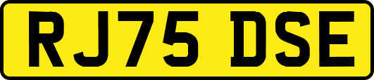 RJ75DSE