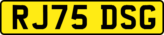 RJ75DSG