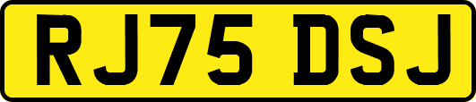 RJ75DSJ