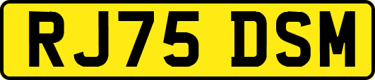 RJ75DSM