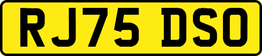 RJ75DSO