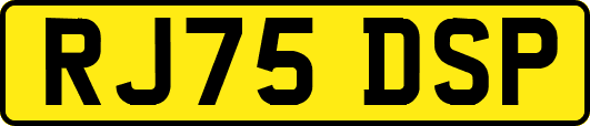 RJ75DSP