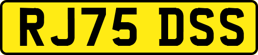 RJ75DSS