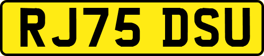 RJ75DSU
