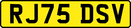 RJ75DSV