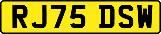 RJ75DSW