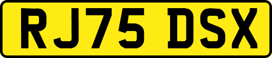 RJ75DSX