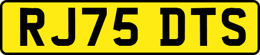 RJ75DTS