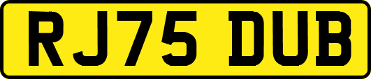 RJ75DUB