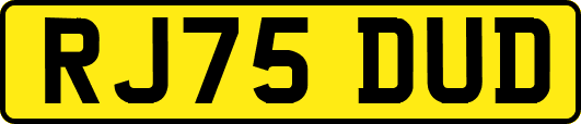 RJ75DUD