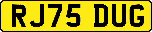 RJ75DUG