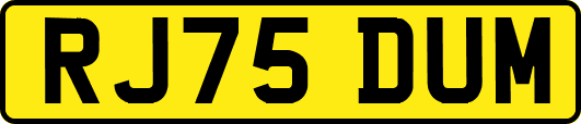 RJ75DUM
