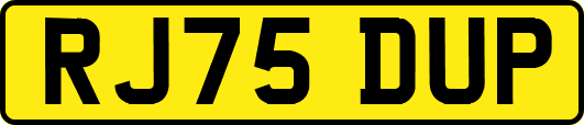 RJ75DUP