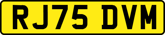 RJ75DVM
